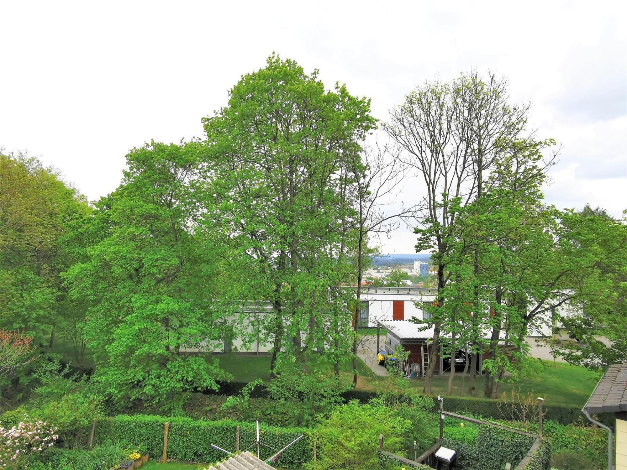 Bohnapartments - Stadtblick Zechenhaus - Balkon - Gratis Parkplatz - Wlan - Sehr Ruhig - Barrierearm Ilmenau Luaran gambar