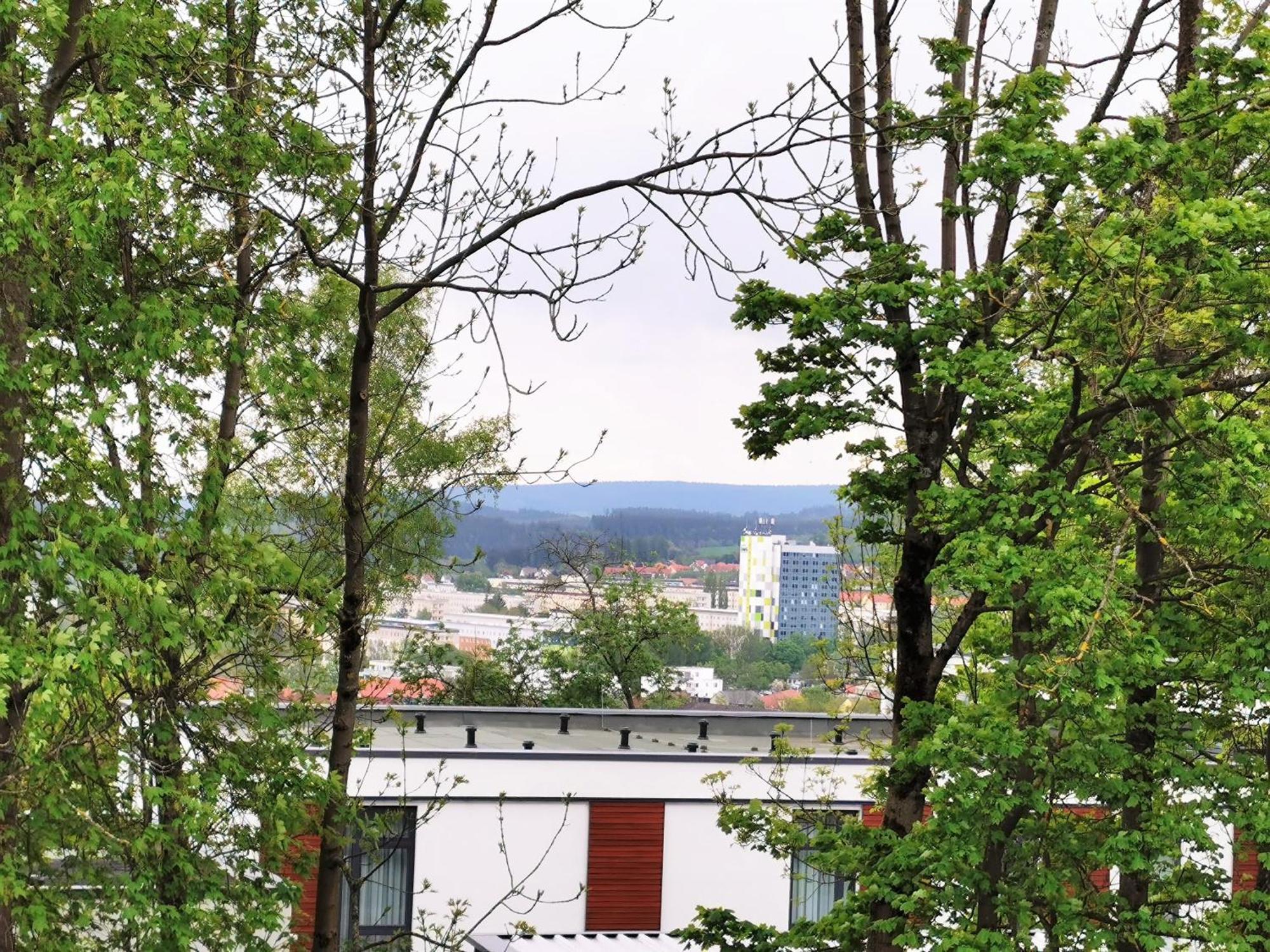 Bohnapartments - Stadtblick Zechenhaus - Balkon - Gratis Parkplatz - Wlan - Sehr Ruhig - Barrierearm Ilmenau Luaran gambar